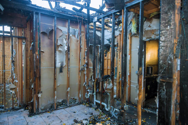 Professional Structural Rebuild technician working in Brownton, MN